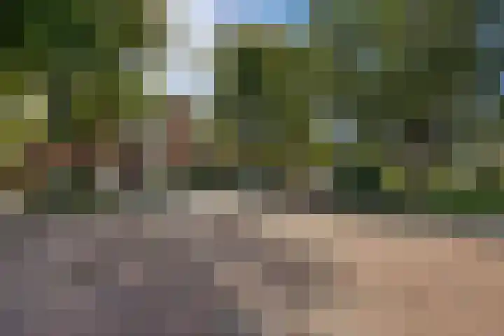 Tortellaan 20 Den Haag thumbnail 48
