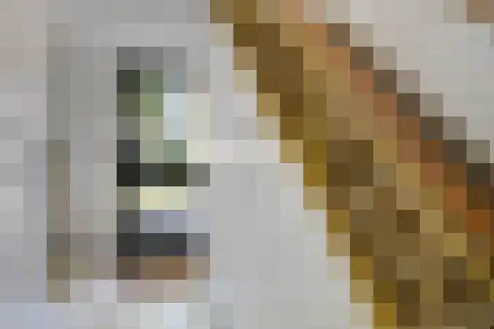 Tortellaan 20 Den Haag thumbnail 6