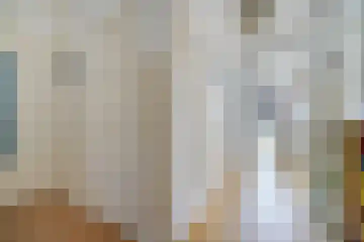 Tortellaan 20 Den Haag thumbnail 7
