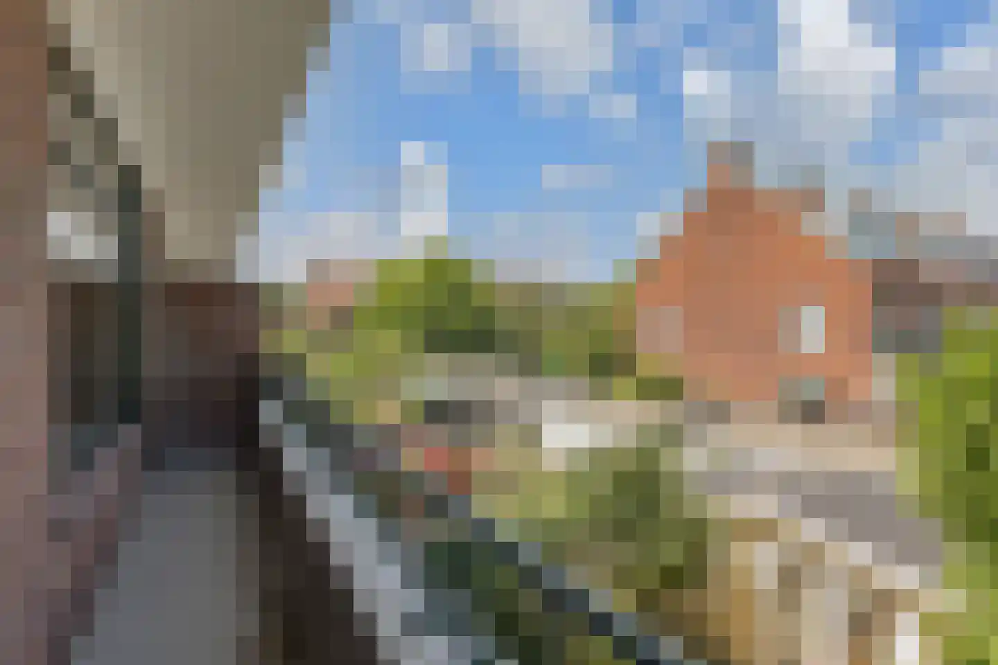 Tortellaan 45 Den Haag thumbnail 21