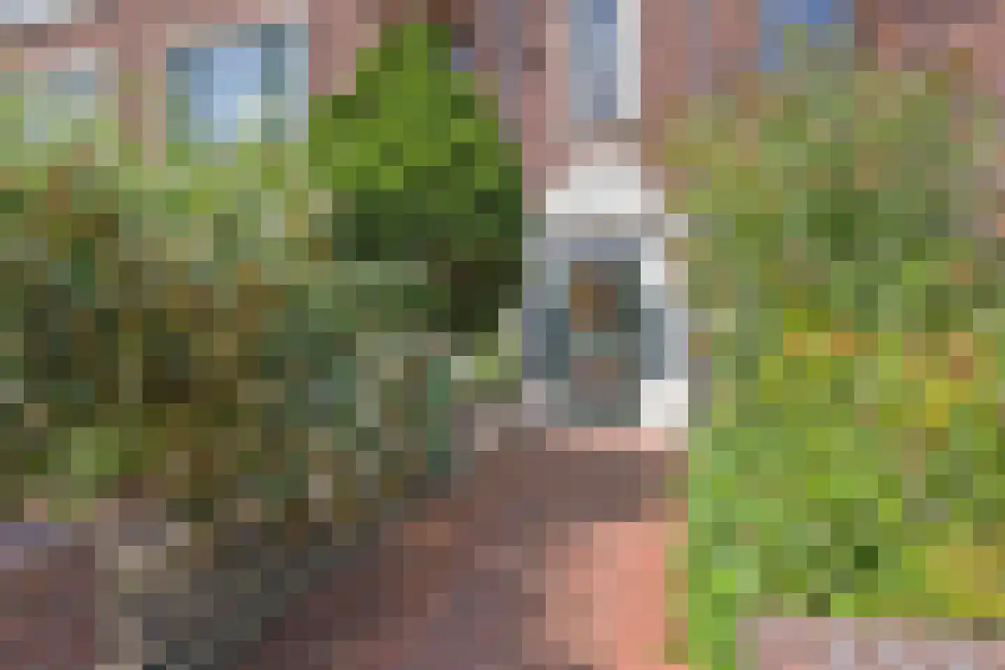 Tortellaan 45 Den Haag thumbnail 31