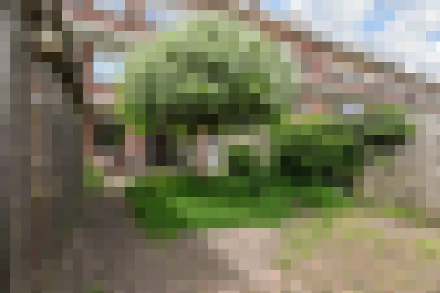 Tortellaan 48 Den Haag thumbnail 22