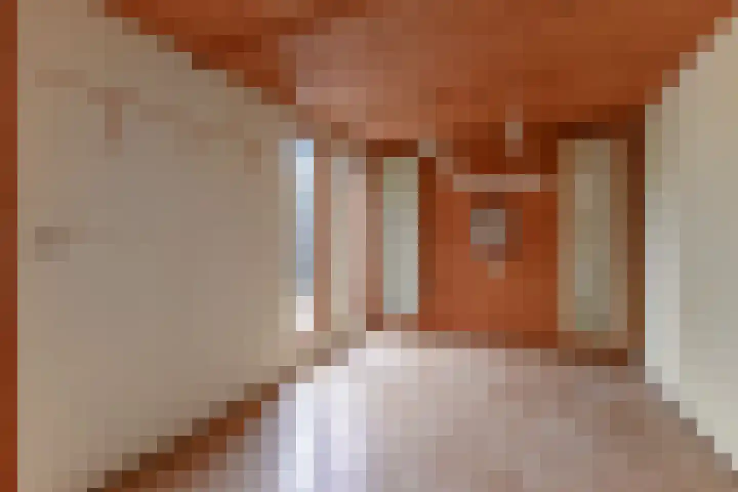 Tortellaan 48 Den Haag thumbnail 30