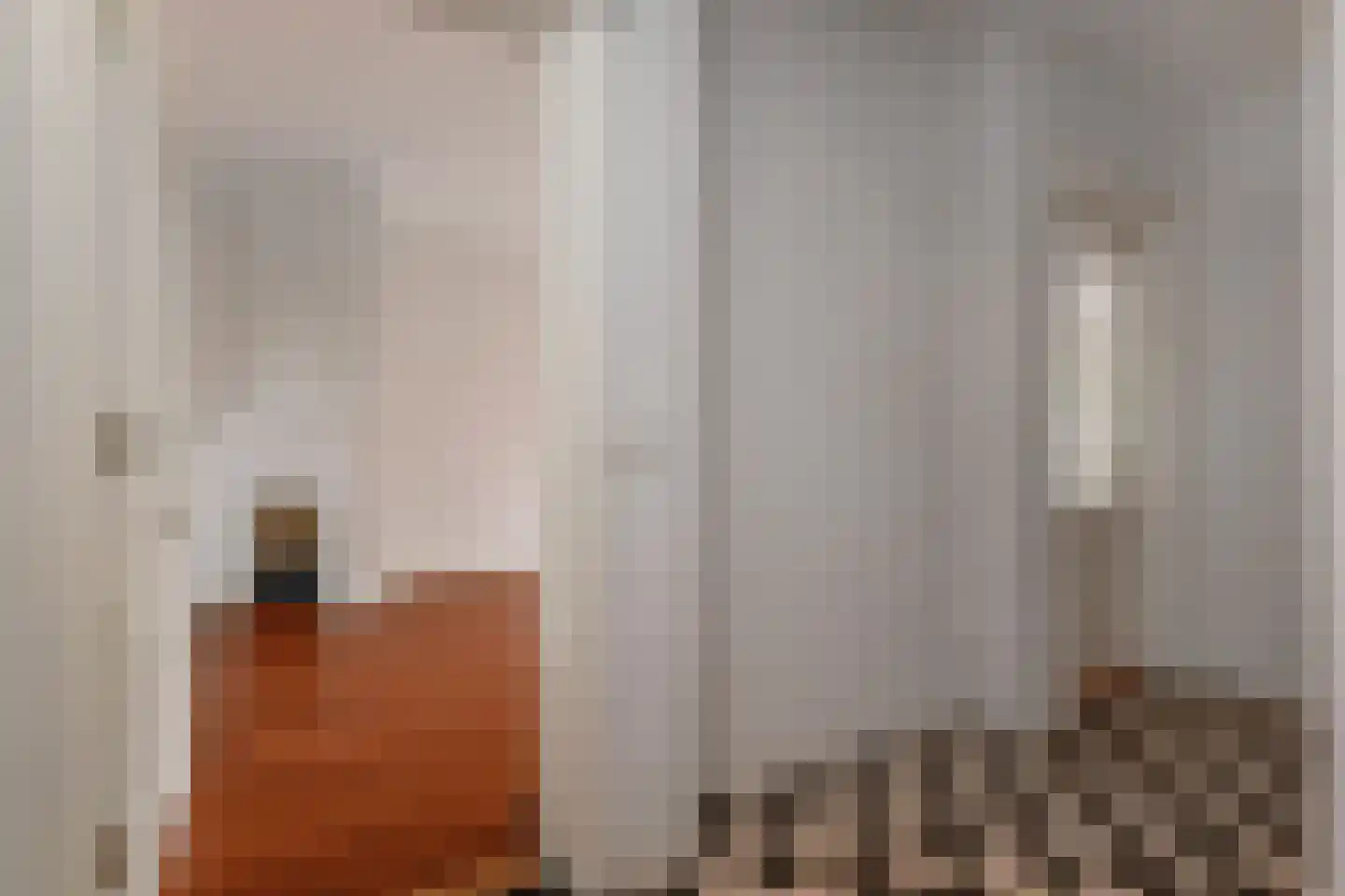 Tortellaan 48 Den Haag thumbnail 8