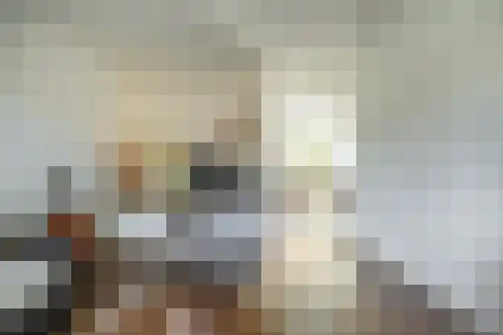 Tortelstraat 2 Norg thumbnail 12
