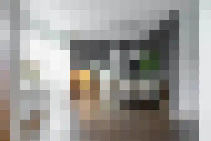 Tortelstraat 2 Norg thumbnail 14