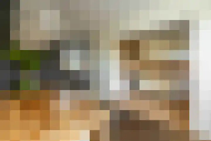Tortelstraat 2 Norg thumbnail 15