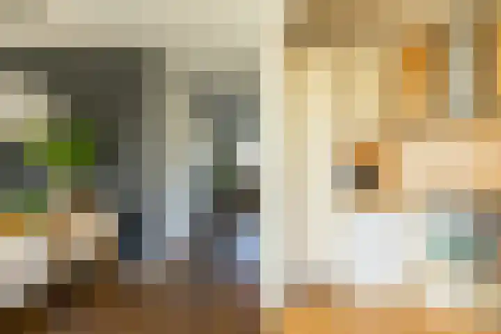 Tortelstraat 2 Norg thumbnail 18