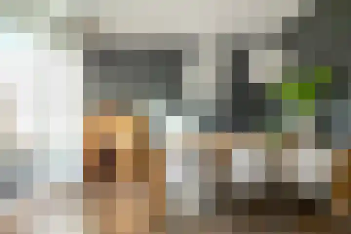 Tortelstraat 2 Norg thumbnail 22