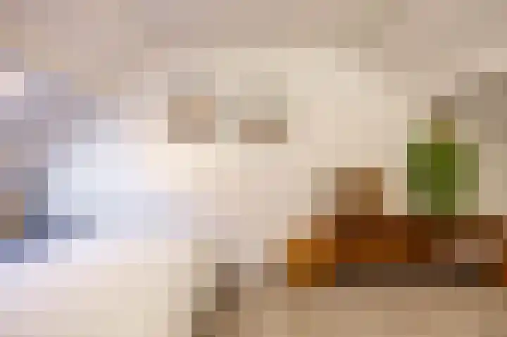 Tortelstraat 2 Norg thumbnail 41