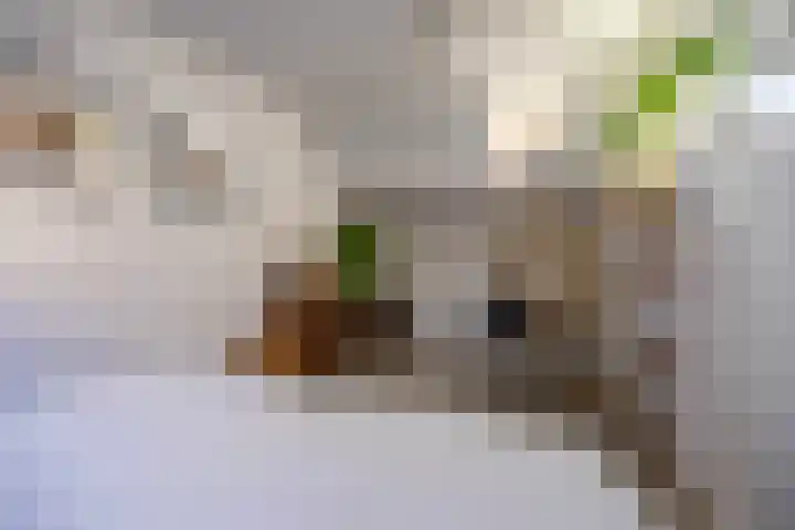 Tortelstraat 2 Norg thumbnail 44