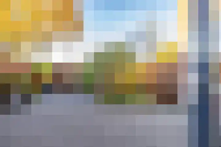 Tortelstraat 2 Norg thumbnail 46