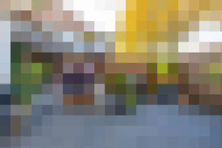 Tortelstraat 2 Norg thumbnail 48