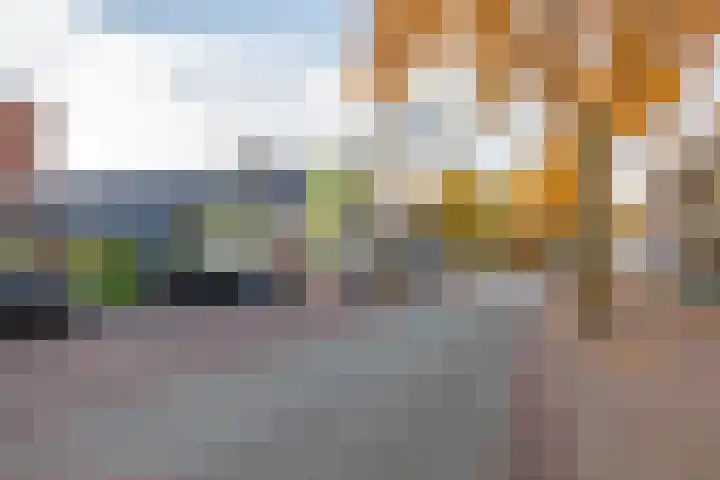 Tortelstraat 2 Norg thumbnail 50