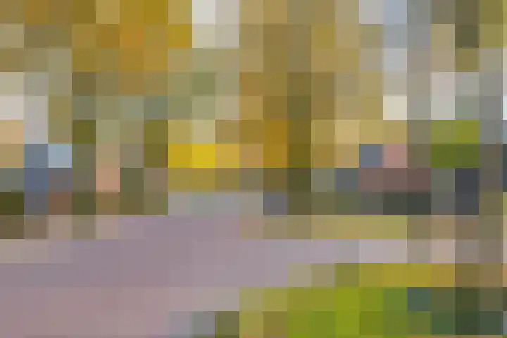 Tortelstraat 2 Norg thumbnail 51