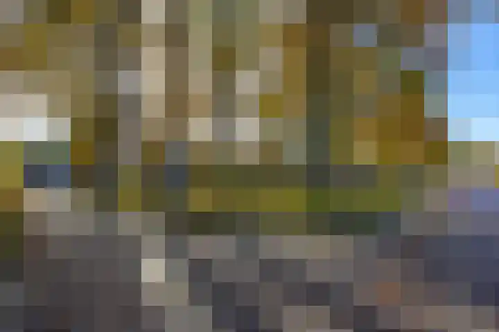 Tortelstraat 2 Norg thumbnail 52