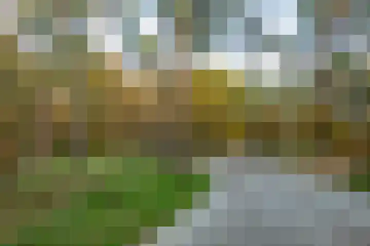 Tortelstraat 2 Norg thumbnail 53