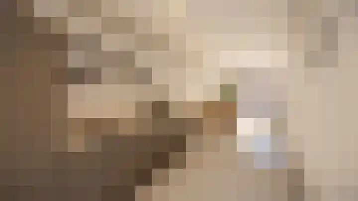 Torum 15 C Scheemda thumbnail 7