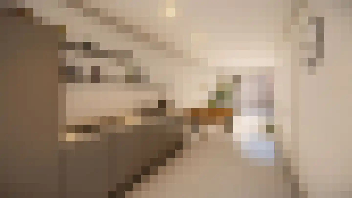 Torum 5 D Scheemda thumbnail 8