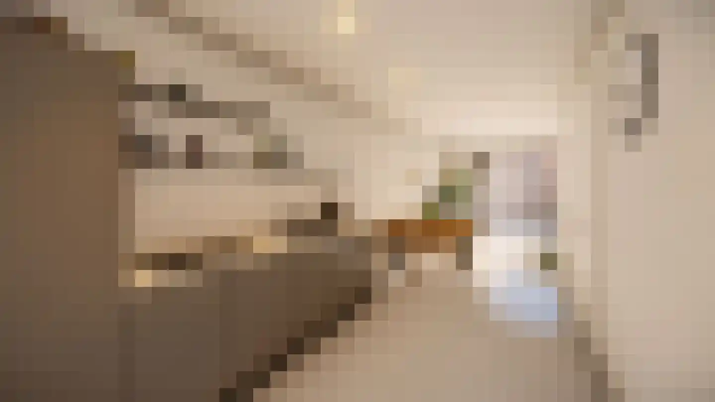 Torum 6 E Scheemda thumbnail 8