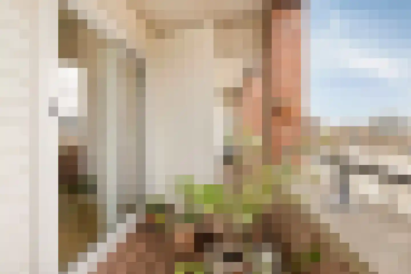 Tosaristraat 19 Amsterdam thumbnail 23