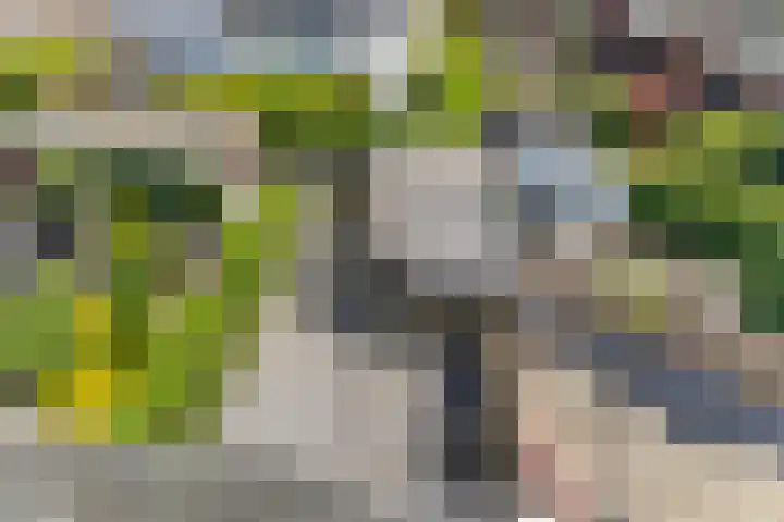Tosca 1 Krimpen aan den IJssel thumbnail 39