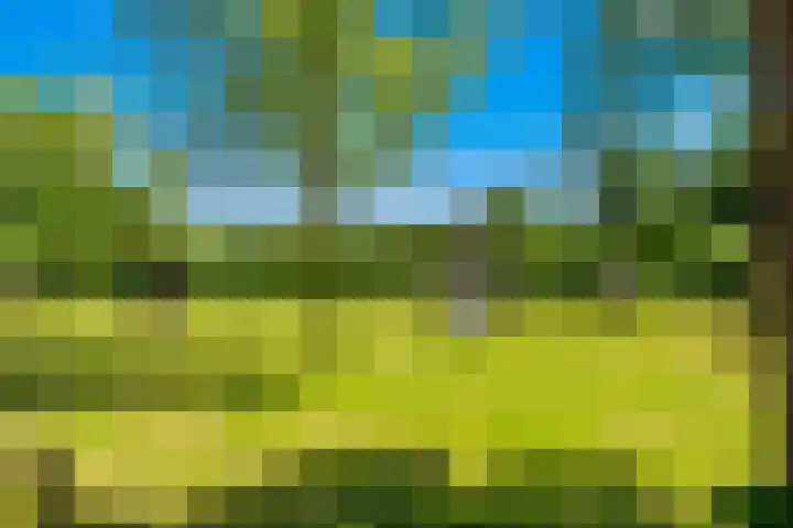 Tosca 1 Krimpen aan den IJssel thumbnail 48