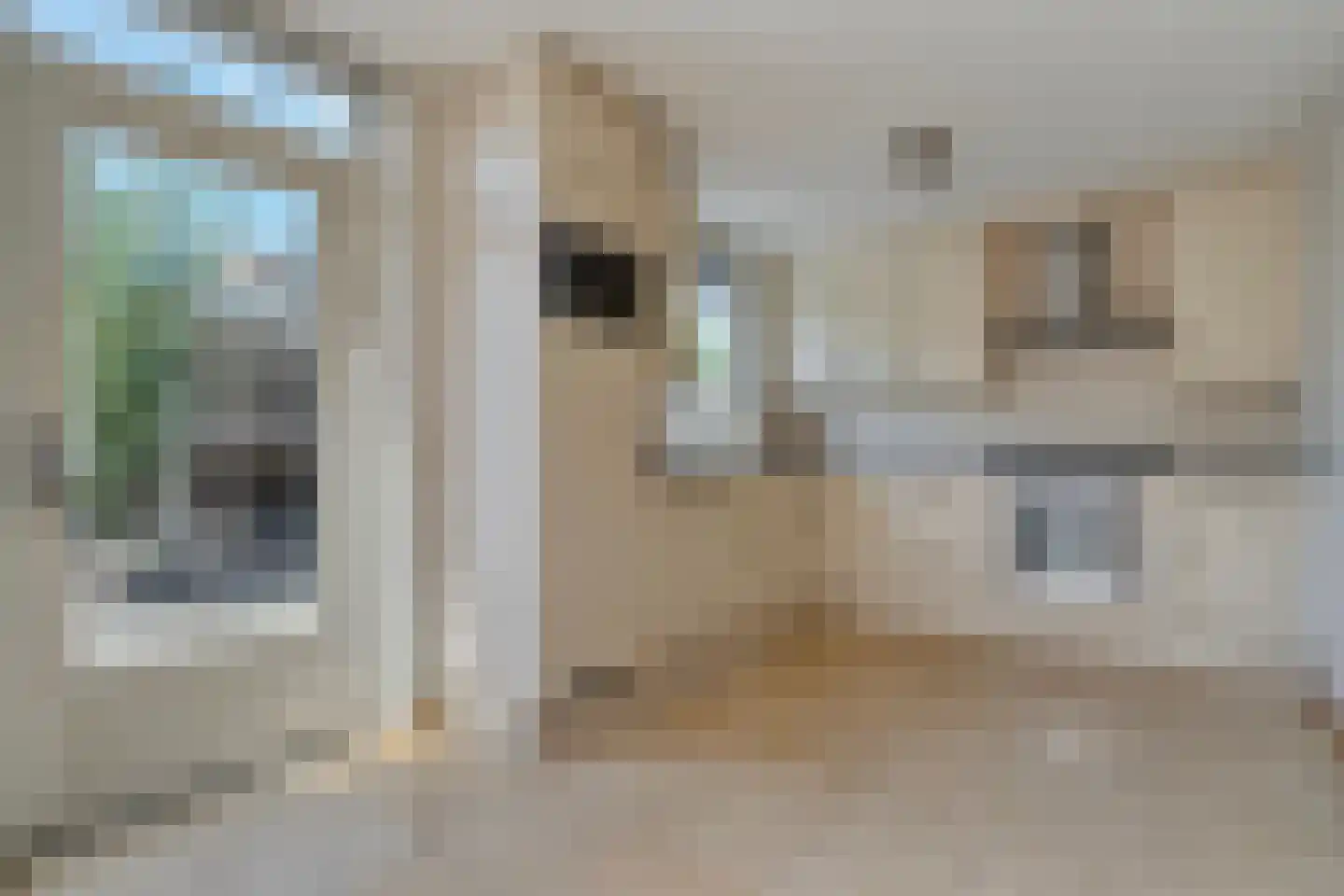 Tosca 9 Kampen thumbnail 16