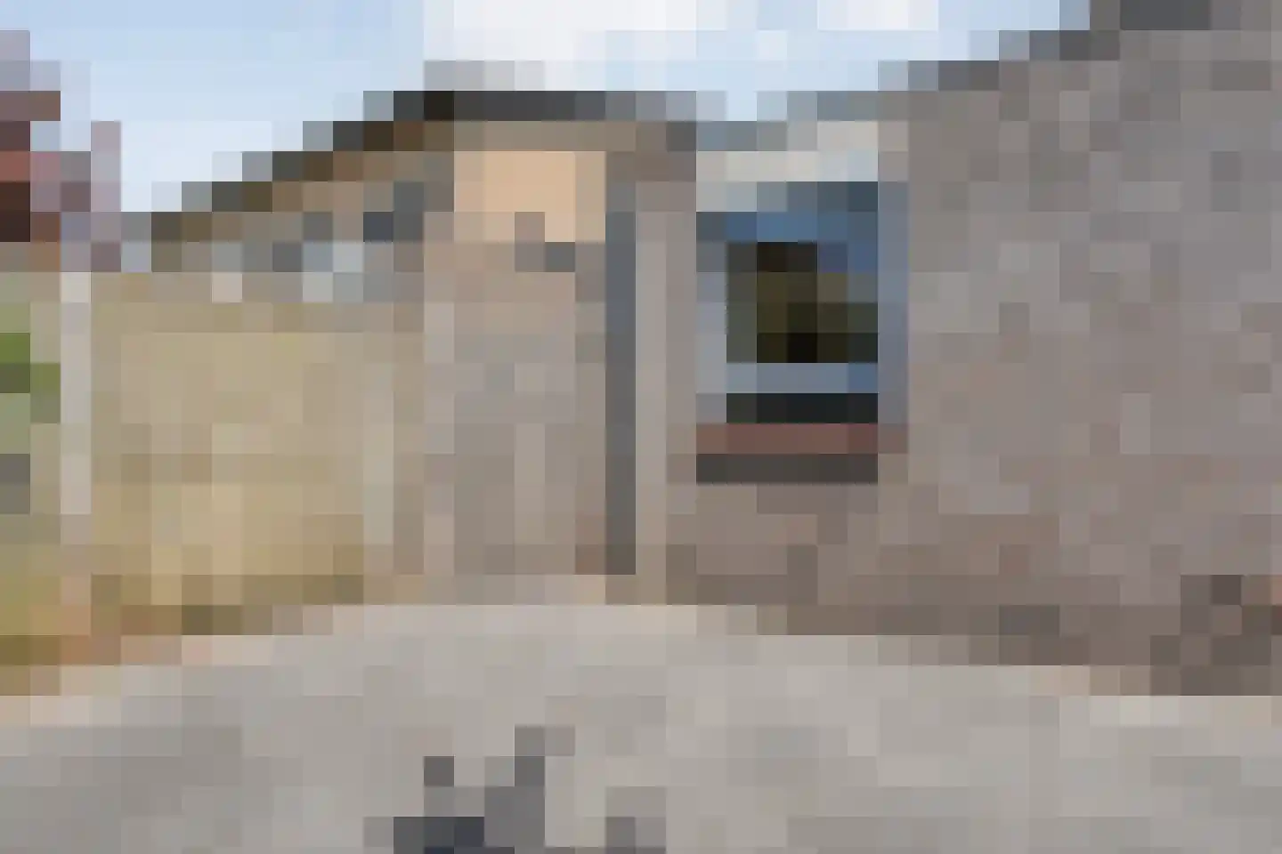 Tosca 9 Kampen thumbnail 45