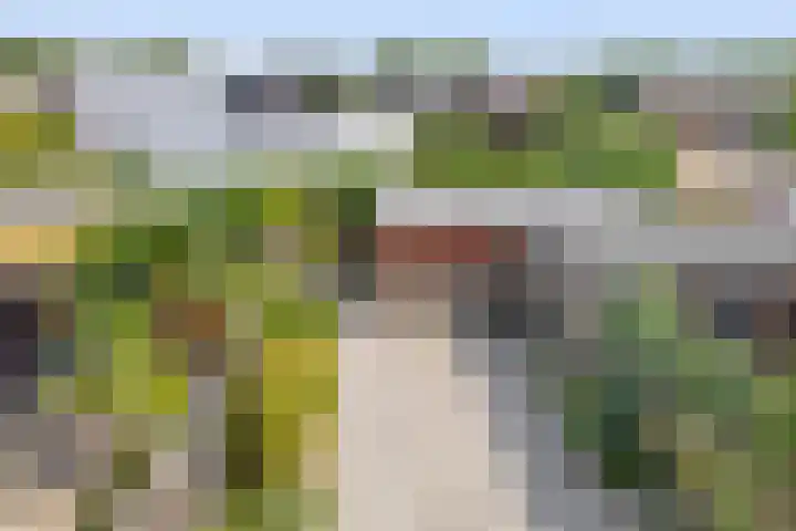 Tosca 9 Krimpen aan den IJssel thumbnail 39