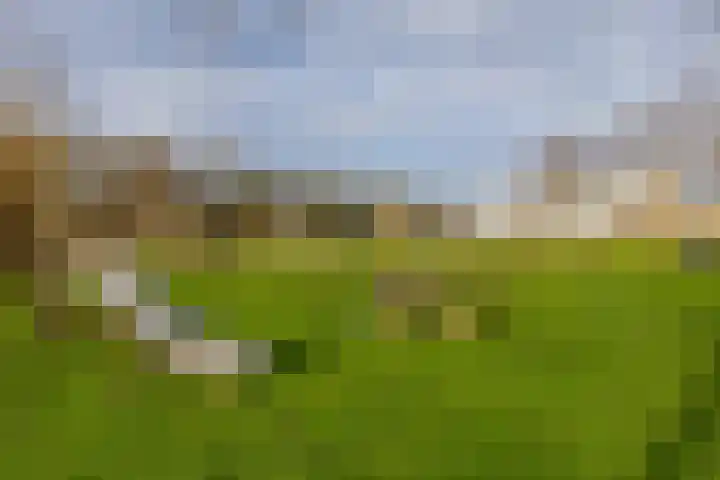 Tosca 9 Krimpen aan den IJssel thumbnail 47