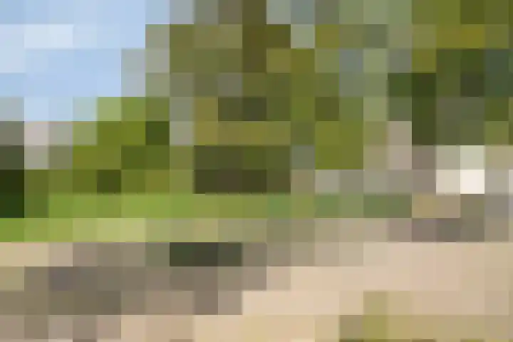 Toscadreef 11 Utrecht thumbnail 20