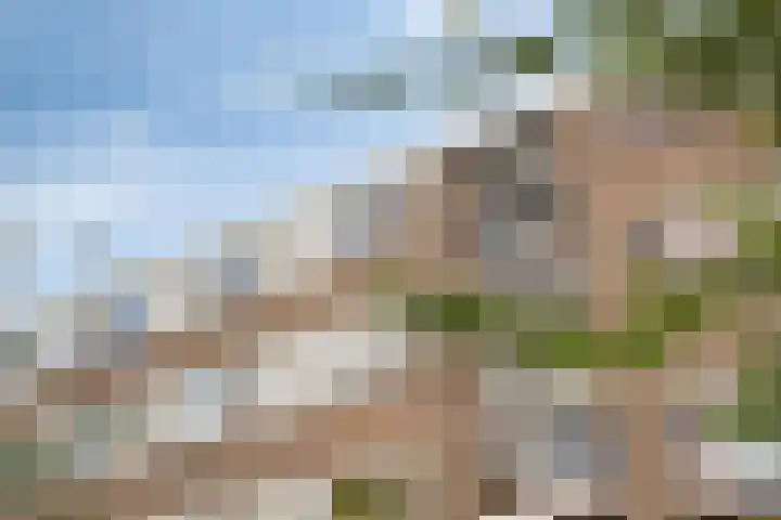 Toscadreef 11 Utrecht thumbnail 6