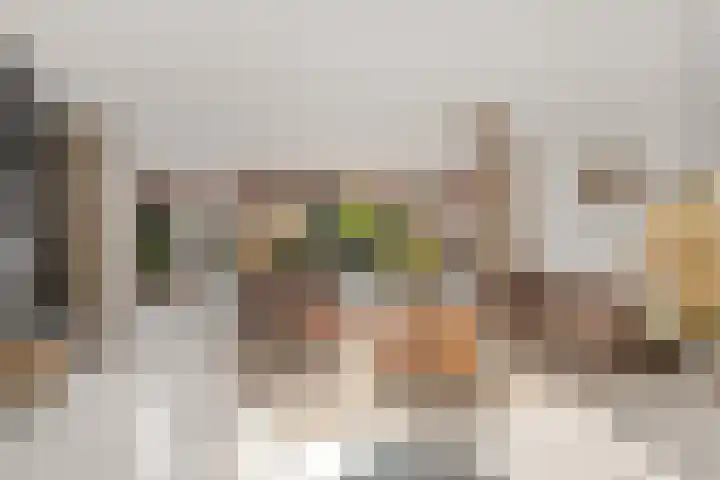 Toscalaan 12 Nieuwegein thumbnail 16