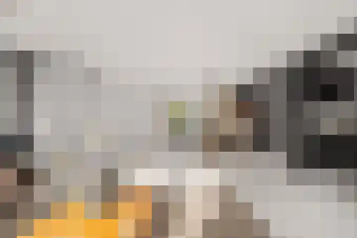 Toscalaan 12 Nieuwegein thumbnail 22