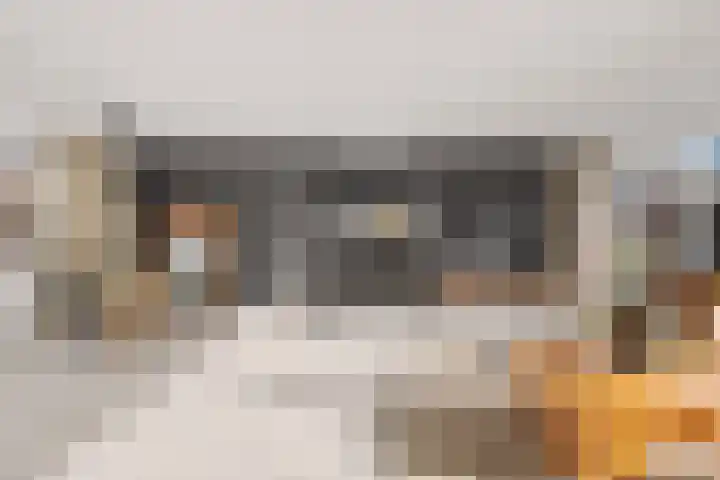 Toscalaan 12 Nieuwegein thumbnail 23