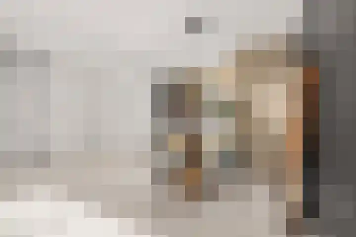 Toscalaan 12 Nieuwegein thumbnail 25