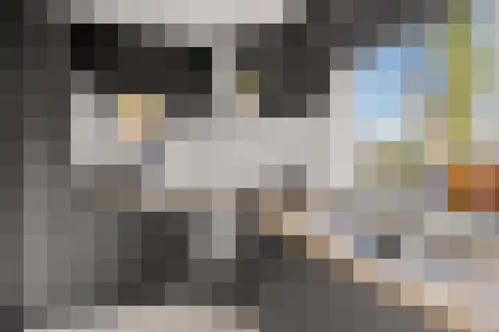 Toscalaan 12 Nieuwegein thumbnail 31