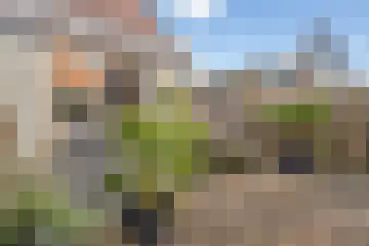 Toscalaan 12 Nieuwegein thumbnail 37