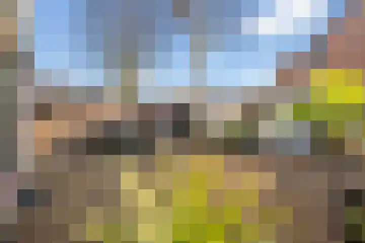 Toscalaan 12 Nieuwegein thumbnail 42