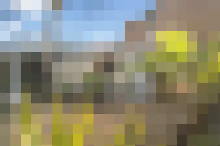 Toscalaan 12 Nieuwegein thumbnail 43