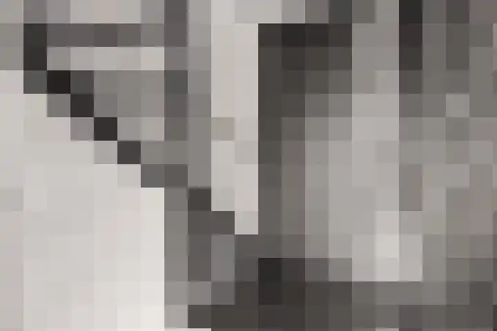 Toscalaan 12 Nieuwegein thumbnail 48
