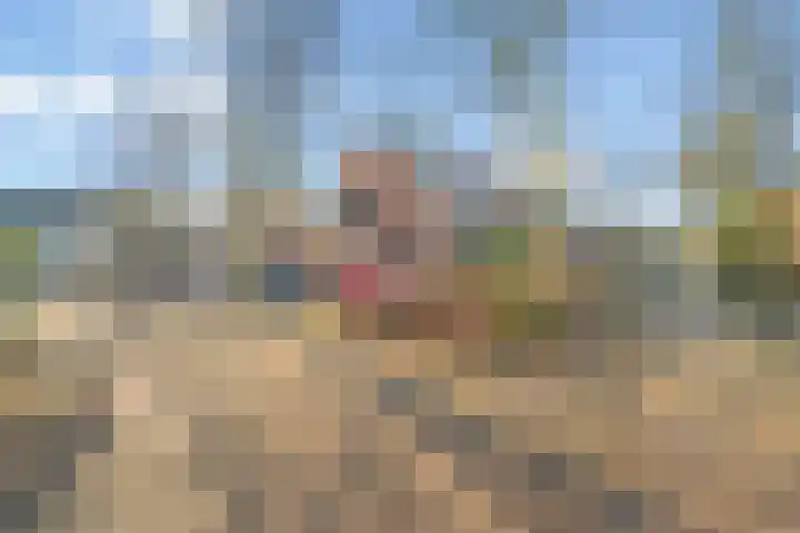 Toscalaan 12 Nieuwegein thumbnail 5