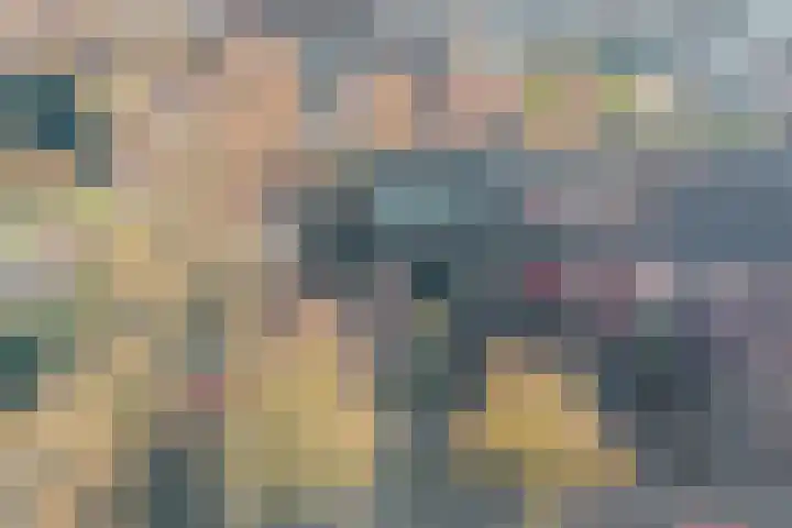 Toscalaan 12 Nieuwegein thumbnail 69