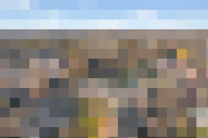 Toscalaan 12 Nieuwegein thumbnail 74