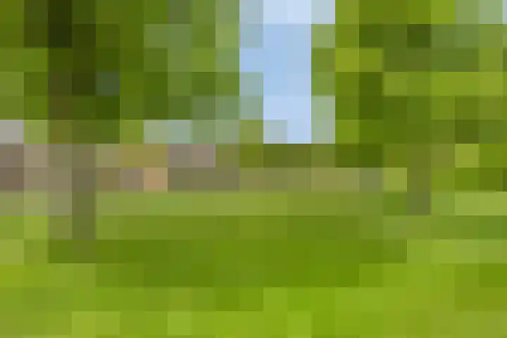 Toscalaan 706 Hoogvliet Rotterdam thumbnail 25