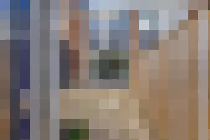 Toscalaan 706 Hoogvliet Rotterdam thumbnail 9