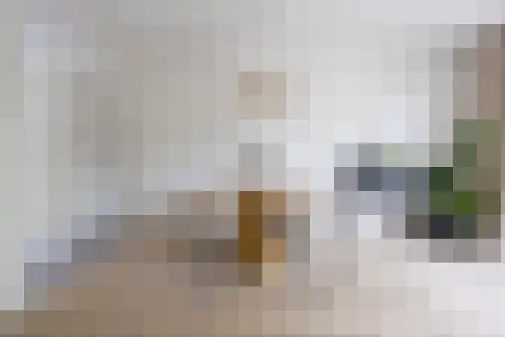 Toscalaan 764 Hoogvliet Rotterdam thumbnail 10