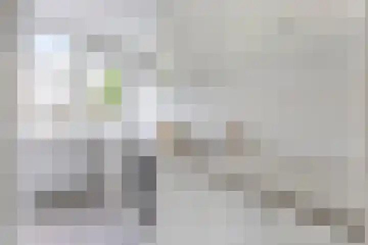 Toscalaan 764 Hoogvliet Rotterdam thumbnail 11