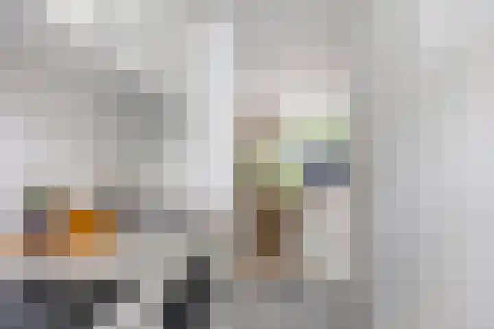Toscalaan 764 Hoogvliet Rotterdam thumbnail 12